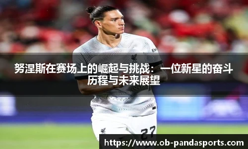 努涅斯在赛场上的崛起与挑战：一位新星的奋斗历程与未来展望